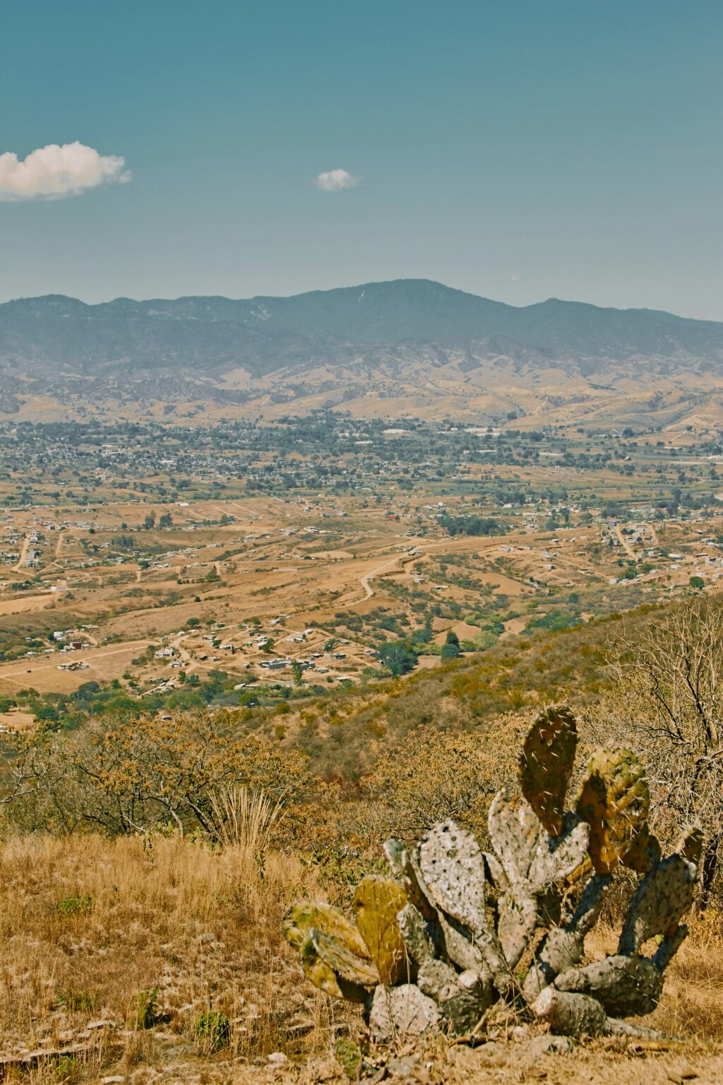 The Central Valleys of Oaxaca seen from a hillside with prickly pear cactus in the foreground.